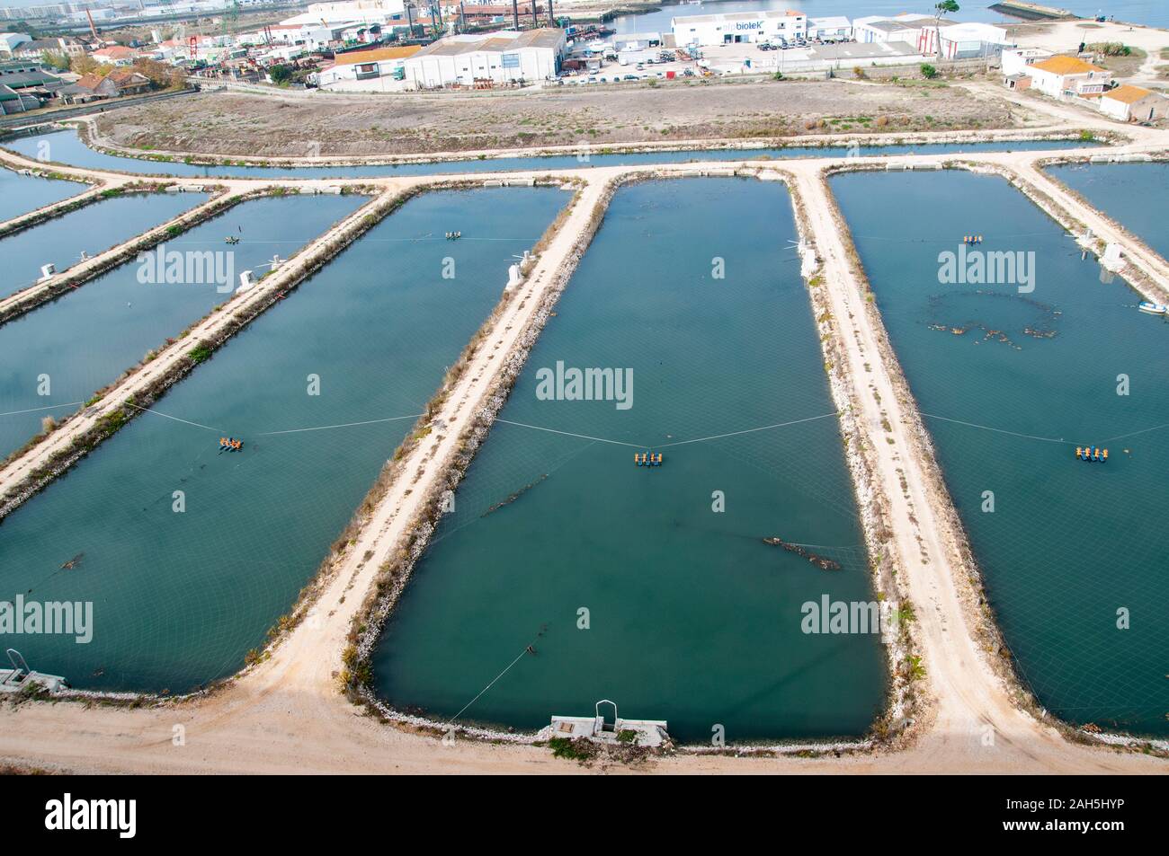 Stagni di pesce come si vede da Edgar Cardoso bridge Figueira da Foz, Portogallo Foto Stock