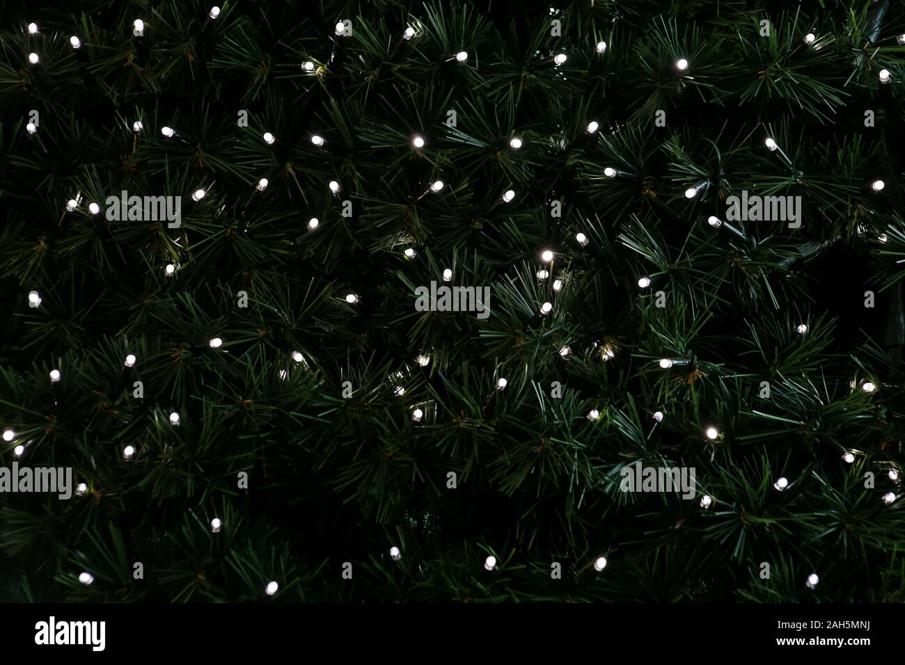 Tradizionale Natale luci lampeggianti appesi su rametti verde albero di pino decorato come sfondo. Abete rami con riso stringa lampadine delle luci. Foto Stock