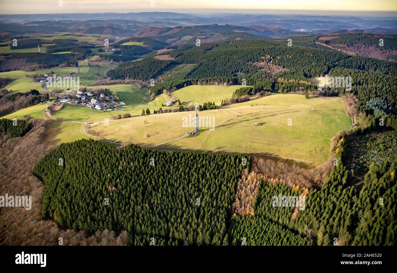 Foto aerea, zona sciistica in autunno, prato selvatico, Sundern, Sauerland, Renania settentrionale-Vestfalia, Germania, DE, Europa foto aerea, uccelli-occhi vista, aeri Foto Stock