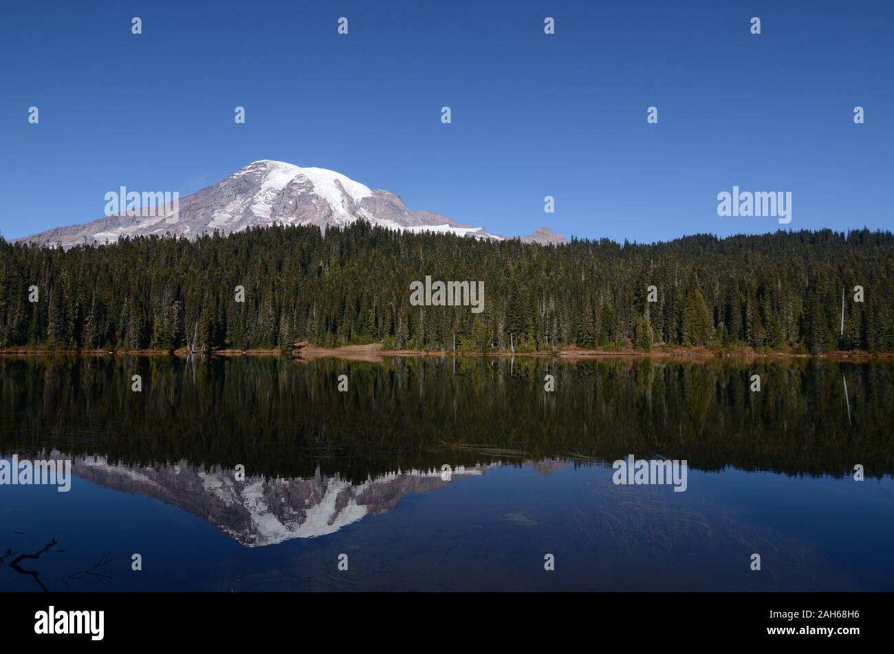 Mt. Rainier vista dal lago di Reflection Foto Stock