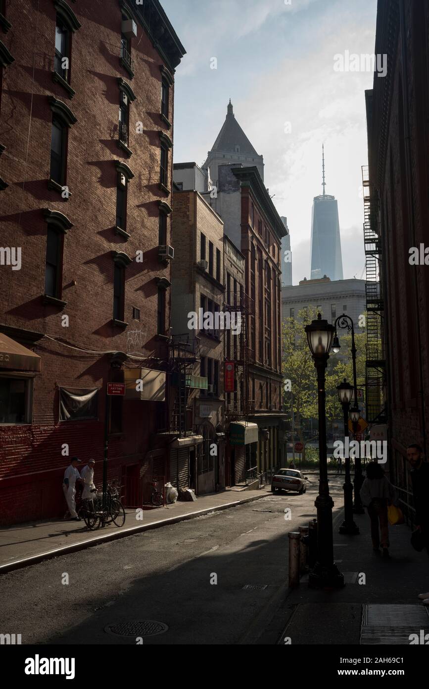 Mosca Street, China Town, New York City, Stati Uniti Foto Stock
