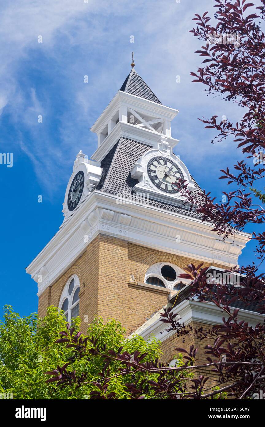 Dillon, Montana - Luglio 23, 2014: La Torre dell'orologio del Beaverhead County Courthouse sorge sopra gli alberi Foto Stock