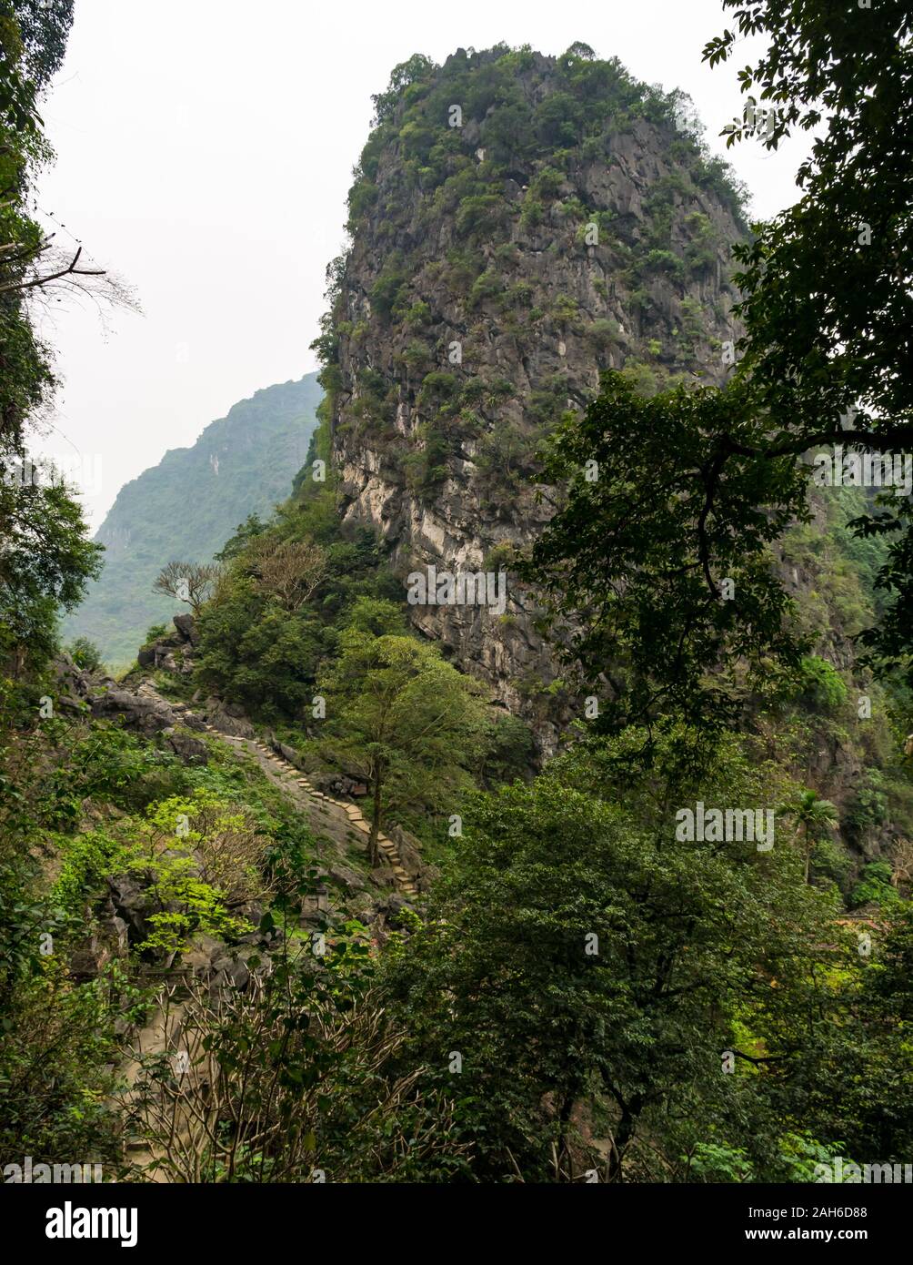 Passi che conducono su carsico calcareo, Tam Coc, Ninh Binh, Vietnam Asia Foto Stock