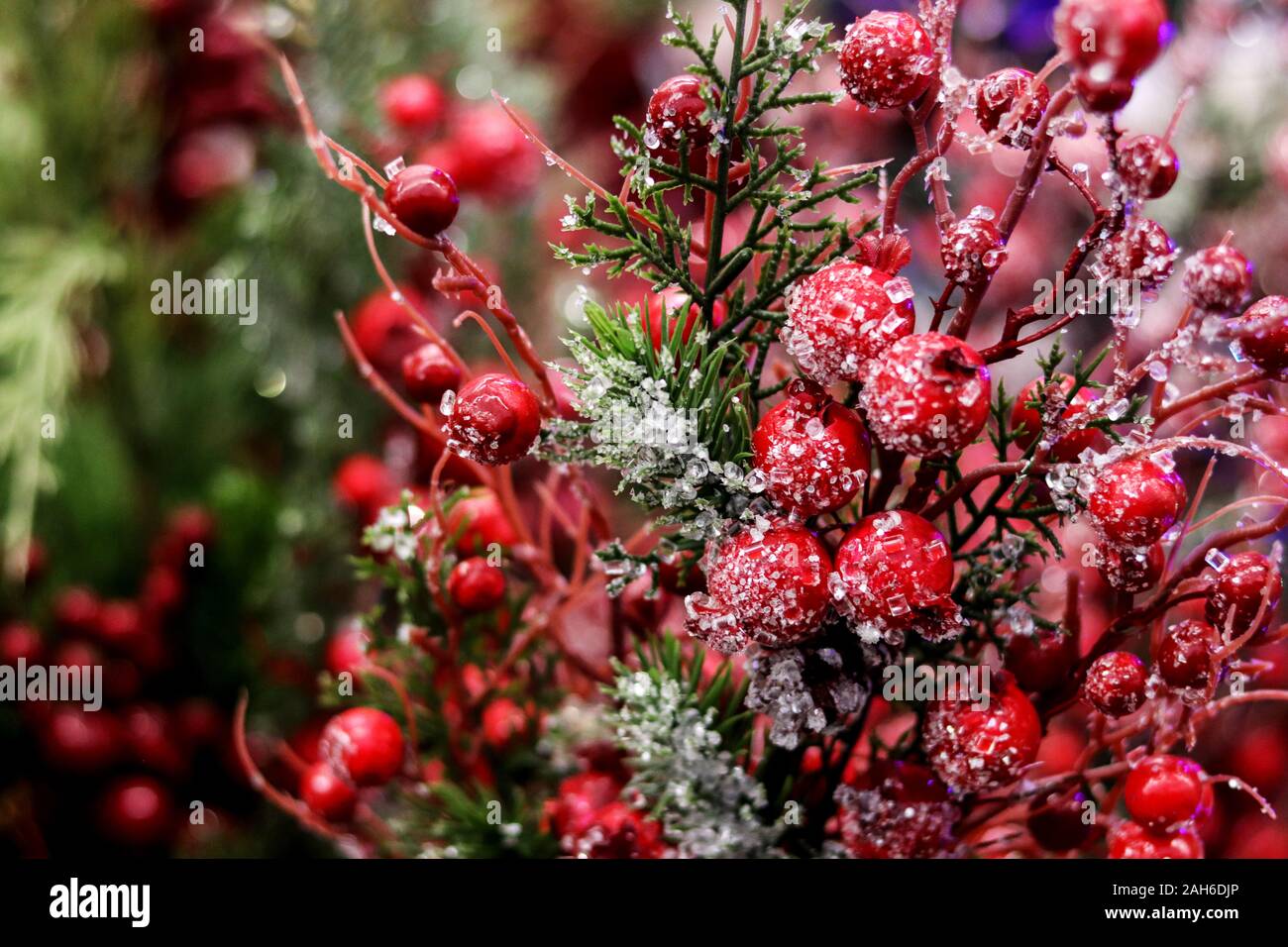La disposizione del Natale berry holly o rametti di leccio, palle rosse come una casa decorazioni per il Natale e Capodanno. Foto Stock