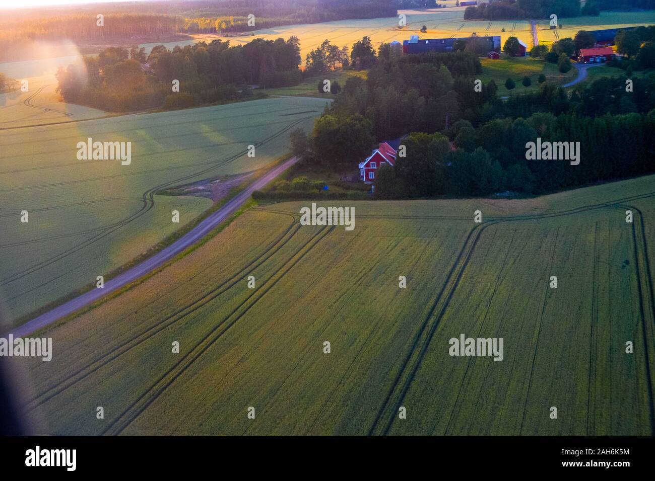 Vista aerea di un campo di grano in zone rurali Svezia centrale Foto Stock