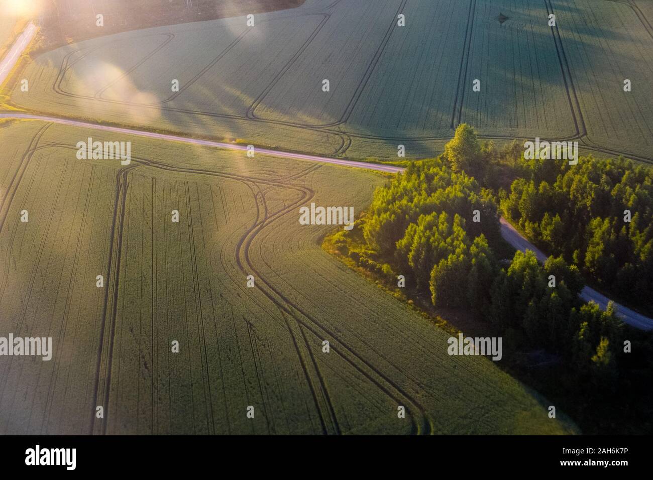 Vista aerea di un campo di grano in zone rurali Svezia centrale Foto Stock