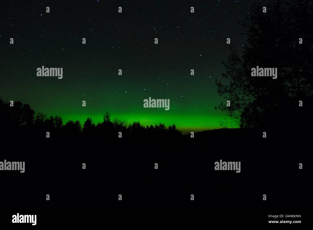 Luci del nord su una notte di settembre in acque di confine, Minnesota, Stati Uniti d'America Foto Stock