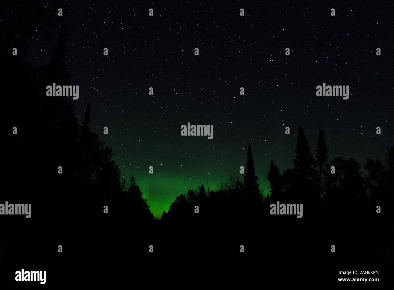 Luci del nord su una notte di settembre in acque di confine, Minnesota, Stati Uniti d'America Foto Stock