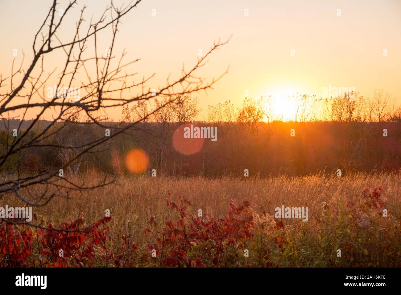 Prairie tramonto in autunno, Frontenac State Park, Minnesota, Stati Uniti d'America Foto Stock