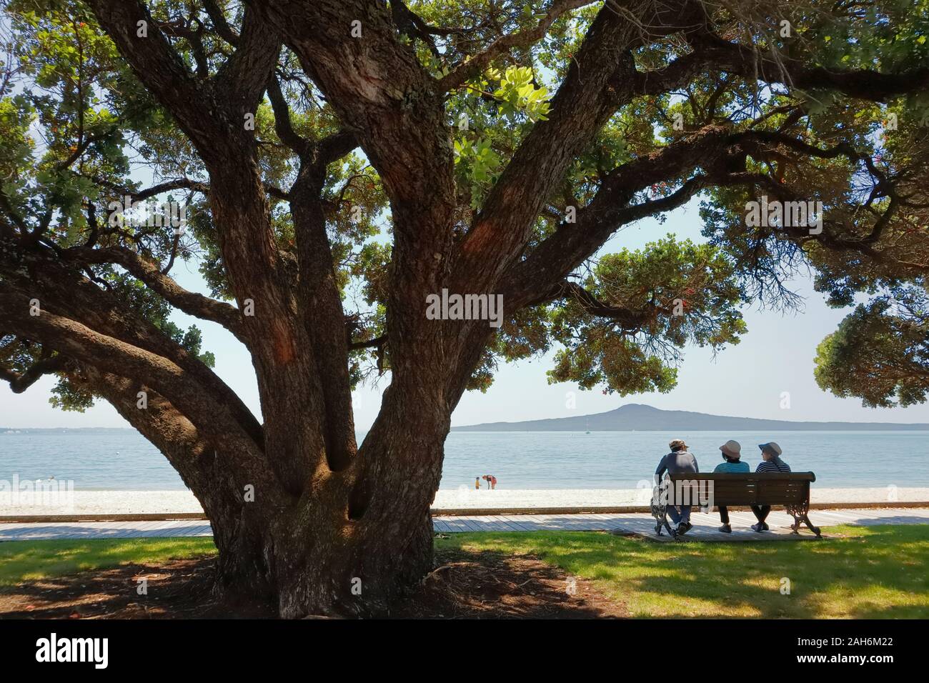 Isola di Rangitoto nella distanza come persone a sedersi su una panchina e una madre e un bambino gioca a San Heliers Beach, Auckland, Nuova Zelanda Foto Stock