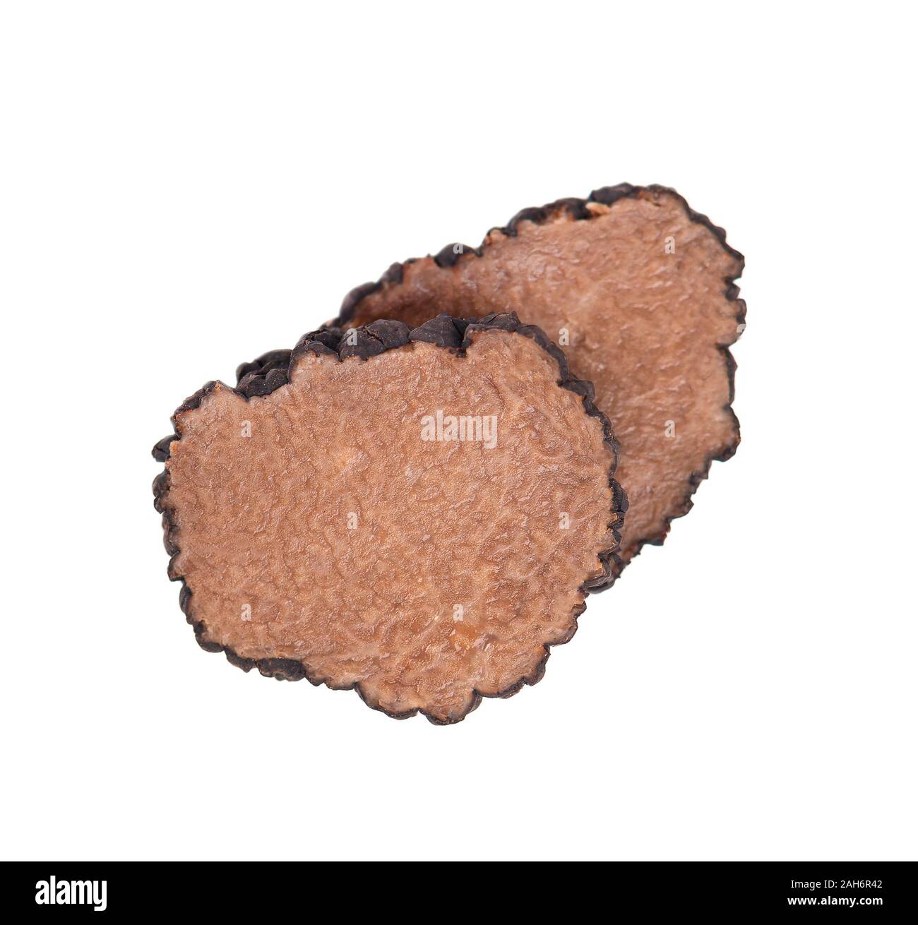 Viola campana fiore isolato su sfondo bianco. Bel bouquet fiorito. Foto Stock