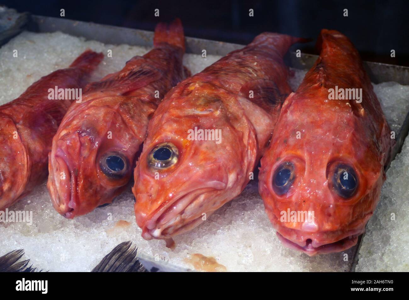 Pesce rosso in vendita a San Francisco Chinatown, Stati Uniti d'America Foto Stock