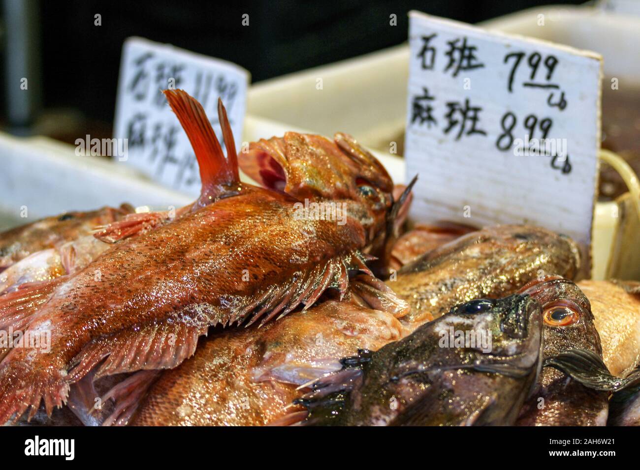 Il pesce per la vendita a prezzo cinese tag in San Francisco Chinatown, Stati Uniti d'America Foto Stock