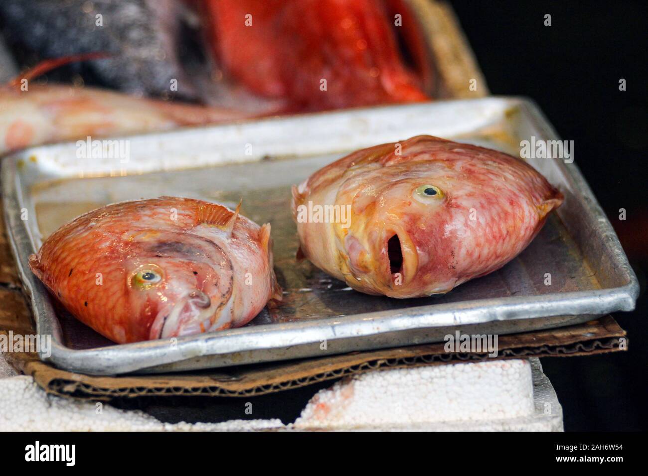 Il pesce per la vendita su un vassoio di alluminio in San Francisco Chinatown, Stati Uniti d'America Foto Stock