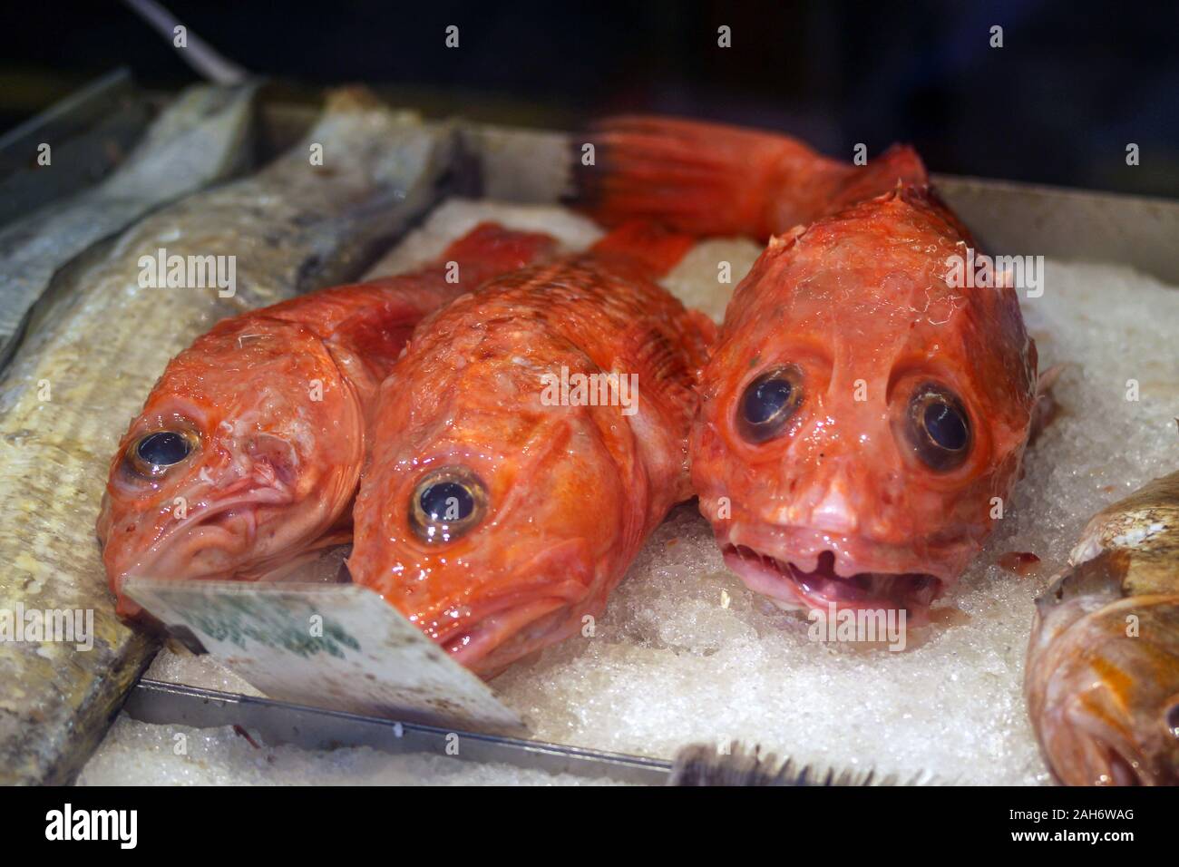 Pesce rosso su ghiaccio in vendita nella Chinatown di San Francisco, Stati Uniti d'America Foto Stock