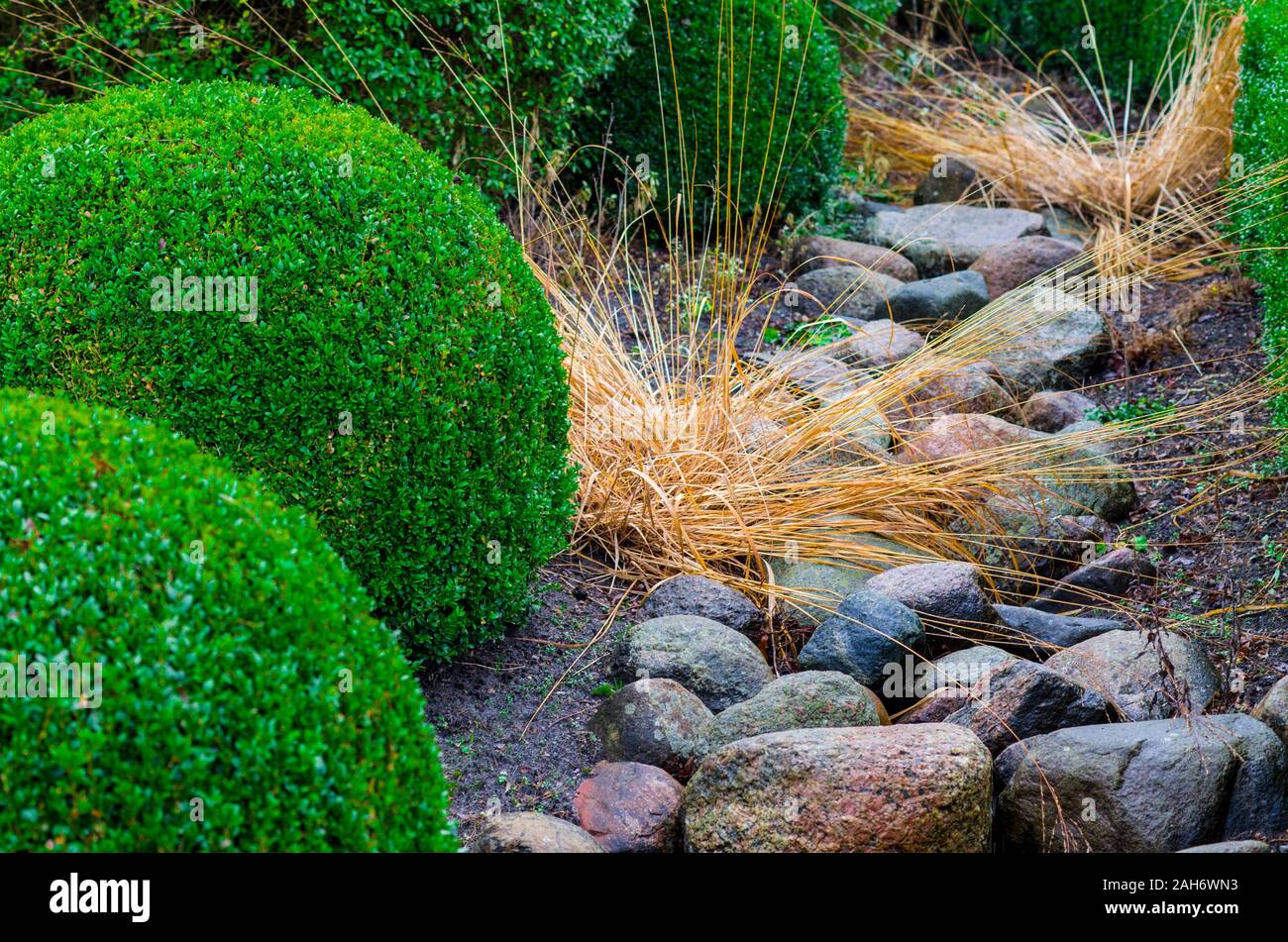 Interessante texture di sfondo verde di arbusti e alberi sul suolo di ghiaia, sulla ghiaia, pietra Fern Tree è utilizzato per decorare la casa, il giardino, parco, ufficio, Foto Stock