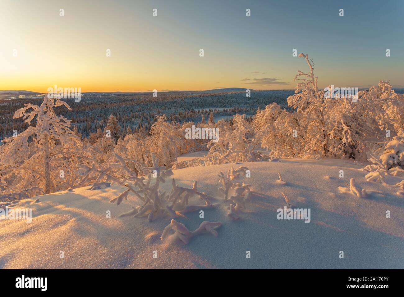 Winterlandscape al tramonto rendendo il cielo colorfull con dei bei colori caldi, Gällivare county, Lapponia svedese, Svezia Foto Stock