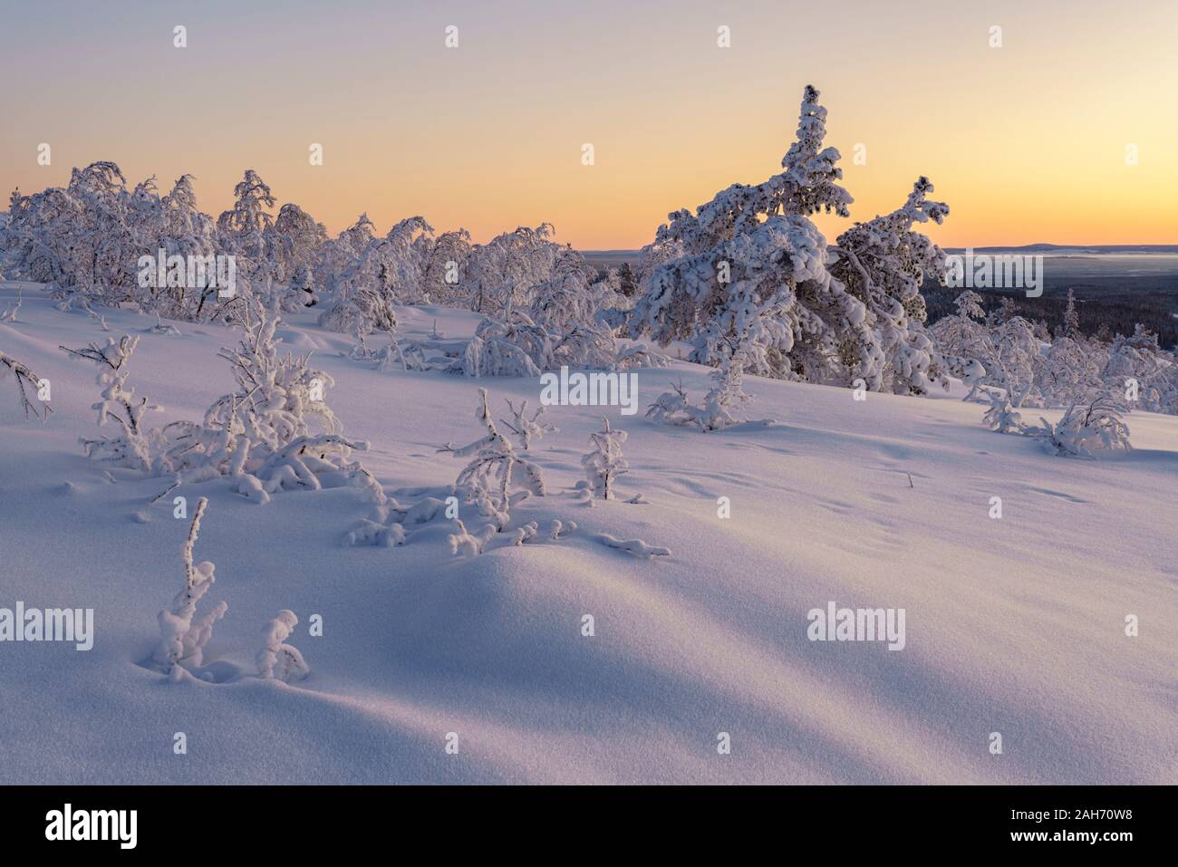 Winterlandscape al tramonto, rendendo il cielo colorfull con dei bei colori caldi, Gällivare county, Lapponia svedese, Svezia Foto Stock