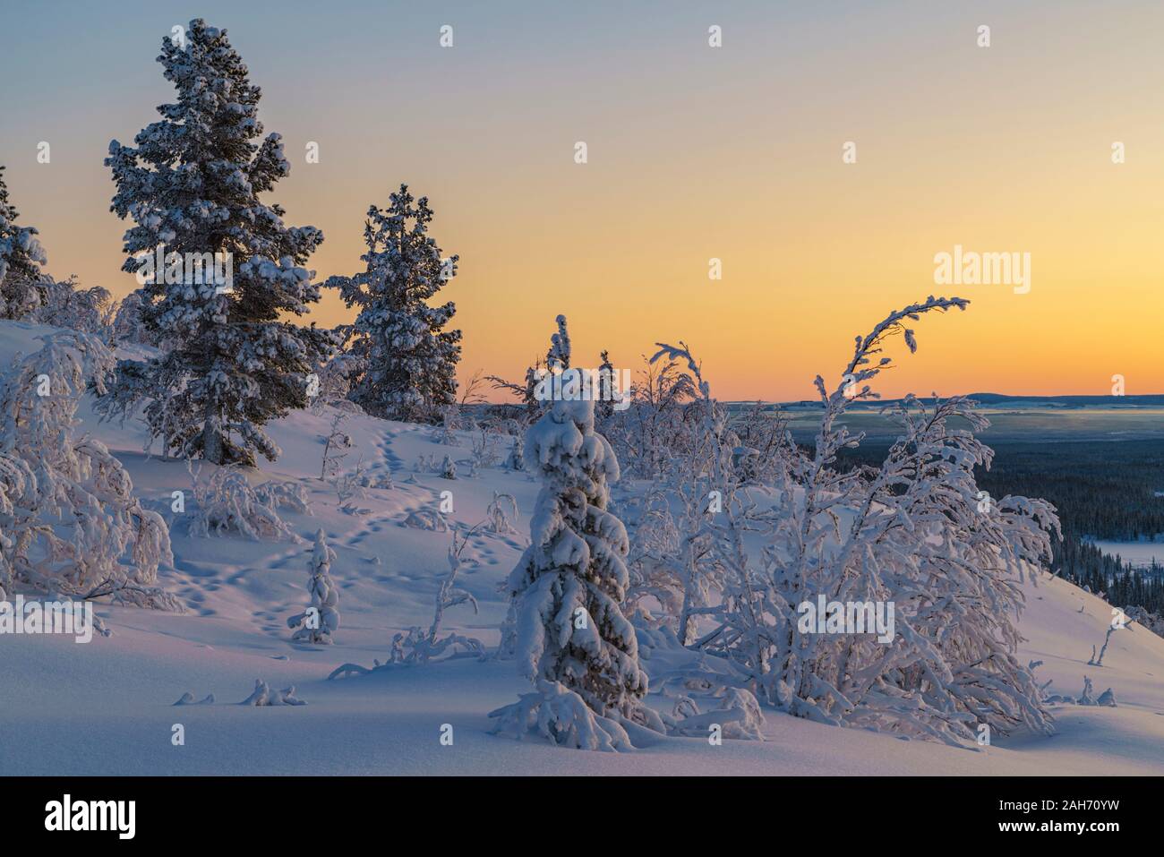 Winterlandscape al tramonto, rendendo il cielo colorfull con dei bei colori caldi, Gällivare county, Lapponia svedese, Svezia Foto Stock