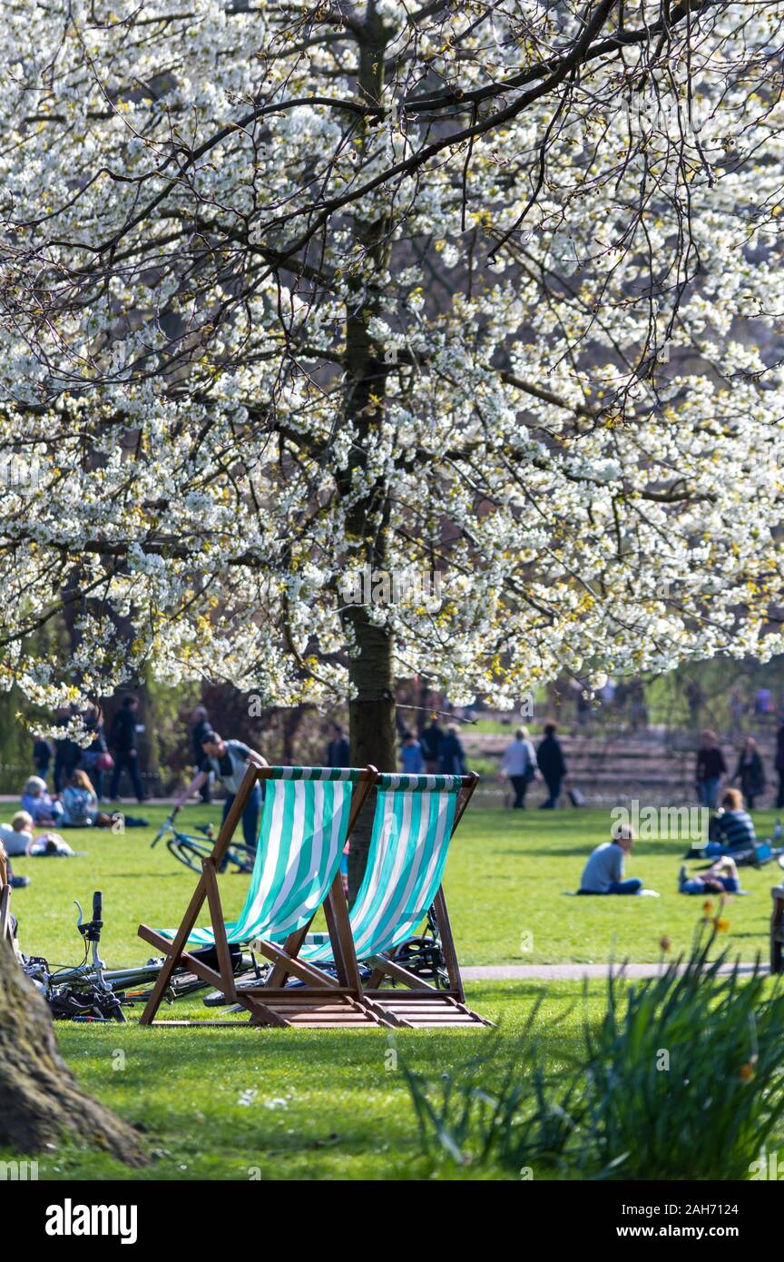 Parcheggio vuoto sedie in St James park, la molla. Londra, Regno Unito Foto Stock