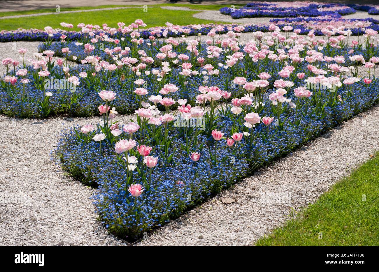 Disposizione di foxtrot tulipani e dimenticare me poveri fiori in primavera, vista la ornamentali giardino barocco in Radziwiłł's Palace di Nieborów esterno. Foto Stock
