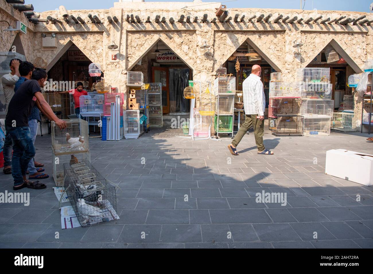 Mercato di uccelli Souq Wakif Foto Stock