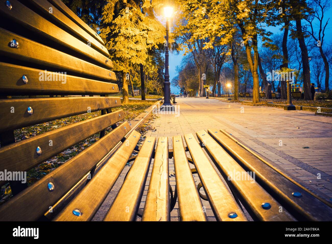 Notte city park. Panche di legno, luci di strada e park alley Foto Stock