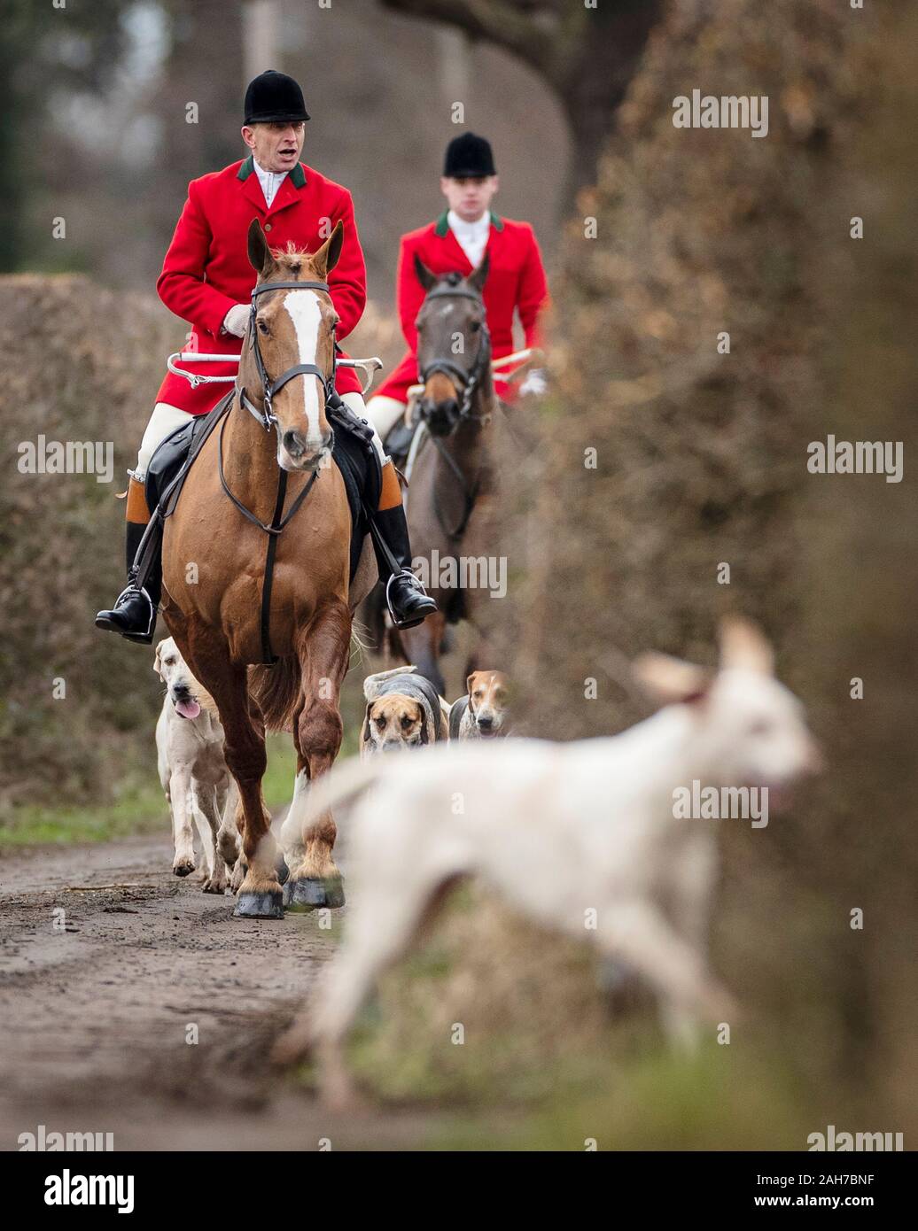 I membri di The Grove e Rufford Hunt prendere parte in un tradizionale Boxing Day hunt nel South Yorkshire. Decine di Boxing Day cacce sono andati avanti attraverso il Regno Unito come attivisti chiedono leggi più severe per mantenere volpi sicuro. Foto Stock