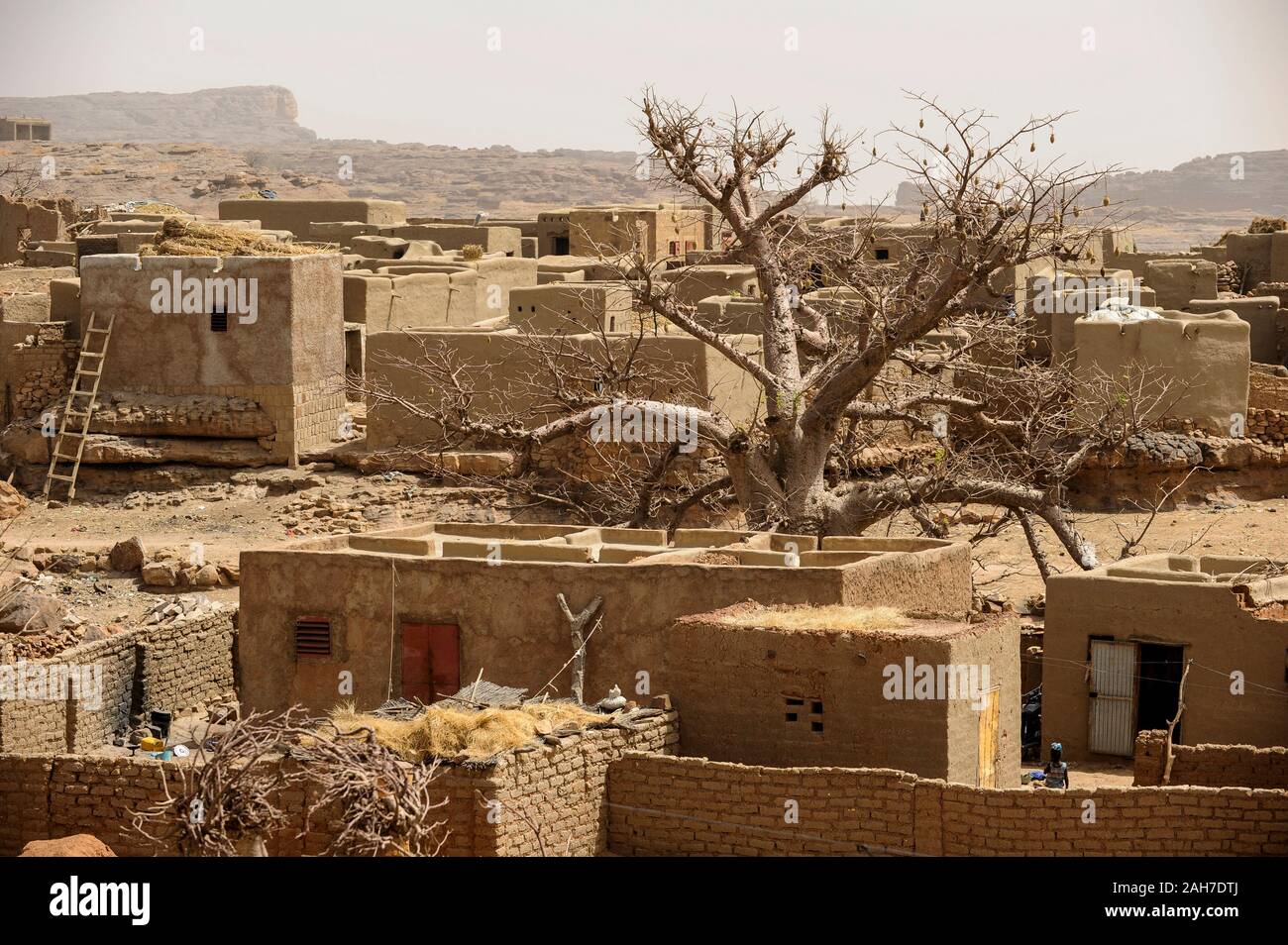 MALI, Bandiagara, Dogonland, habitat dell'etnia Dogon, villaggio Dogon con case di argilla e Baobab Foto Stock