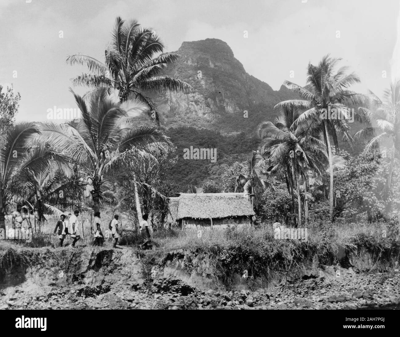Fiji, tornando a casa, FijiA linea di persone a tornare a casa per la loro tradizionale Fijiano bures "' (abitazioni), che si inseriscono in un contesto rurale di Montagne e di palme. La didascalia recita: tornando al loro "Bure' dopo un partito, 1965. 2005/010/1/14/56. Foto Stock
