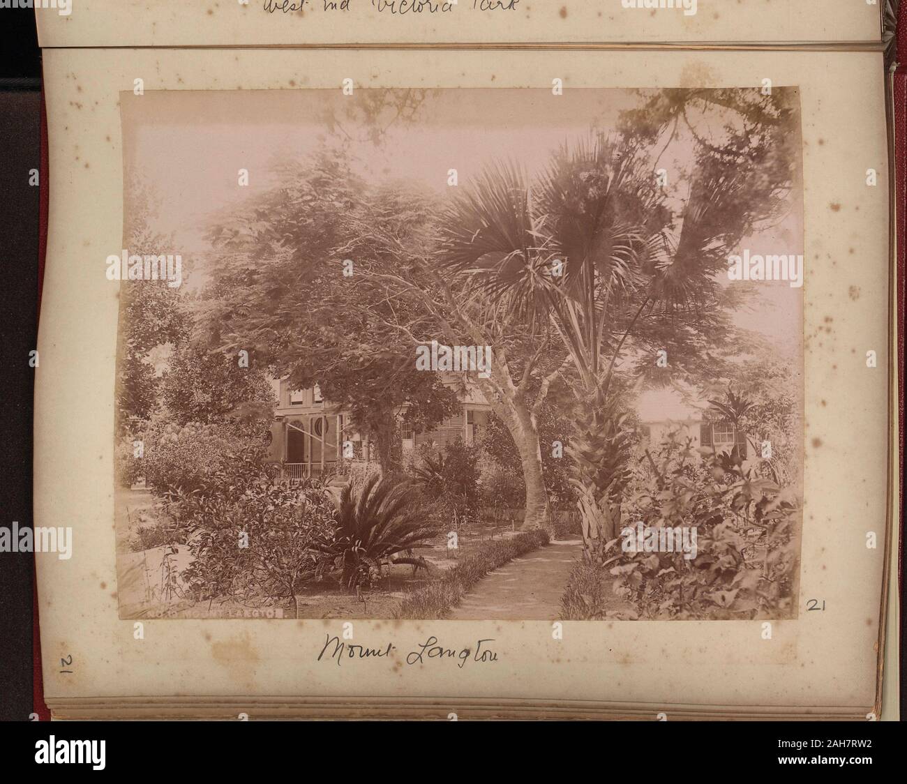 Bermuda, mostrando house set tra gli alberi. 10 numerati in una serie. La didascalia recita: 'Mount Langton', nel 1860 circa. 2005/001/151/21. Foto Stock