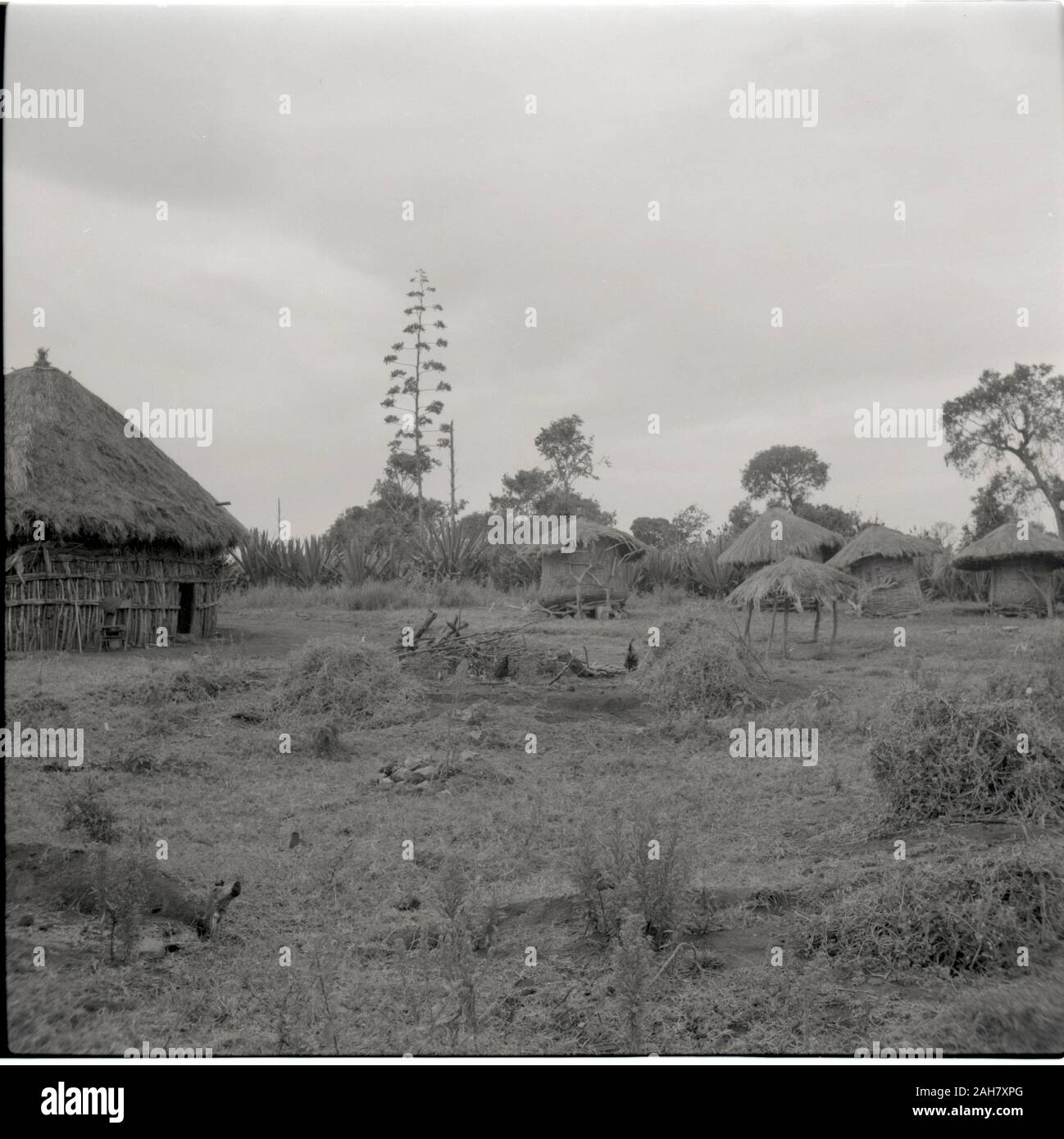 Kenya, Ruel: KuriaSmall casa degli antenati, circa 1958. 2012/001/6/2/18B. Foto Stock