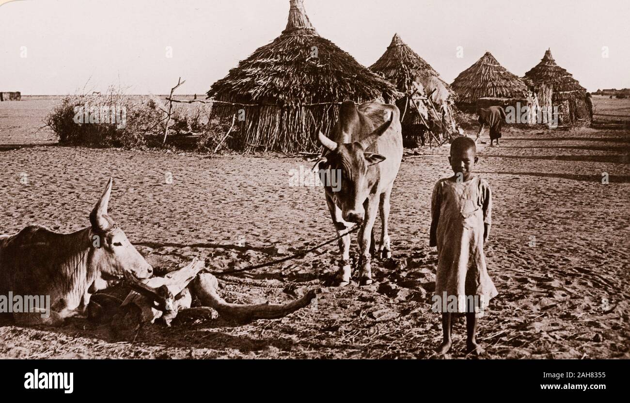Sudan, stampato didascalia recita: "Vita nativo, Duem. Pubblicato da G N Morhig, la farmacia inglese, Khartoum. Copyright 145', [c.1906]. 2003/222/1/2/35. Foto Stock