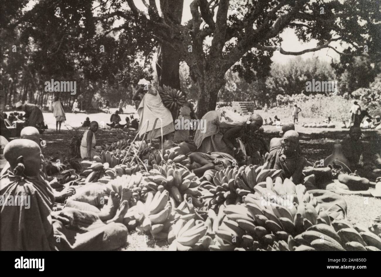Kenya i Kikuyu commercianti visualizzare grandi mazzi di banane su una fase di stallo a Karatina mercato. Manoscritto originale didascalia: Un'altra parte di Karatina mercato.S. Nyeri, 1936, 1937. 1995/076/1/2/5/43. Foto Stock
