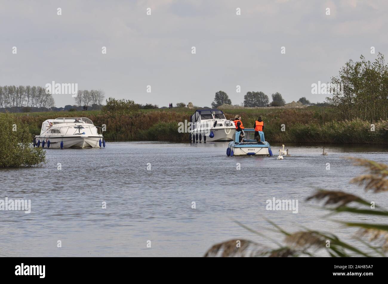 Flotta Dyke, Norfolk Broads, Inghilterra, Regno Unito. Foto Stock