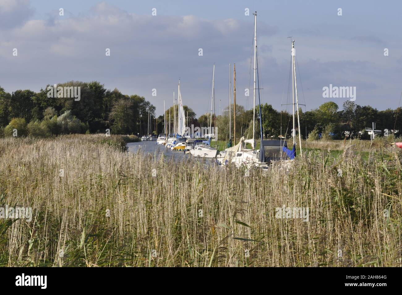 Upton Dyke off il fiume Bure, Norfolk Broads, Norfolk England Regno Unito Foto Stock