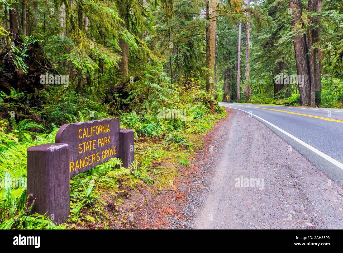 Lo Stato della California Park segno nel Parco Nazionale di Redwood in California USA Foto Stock