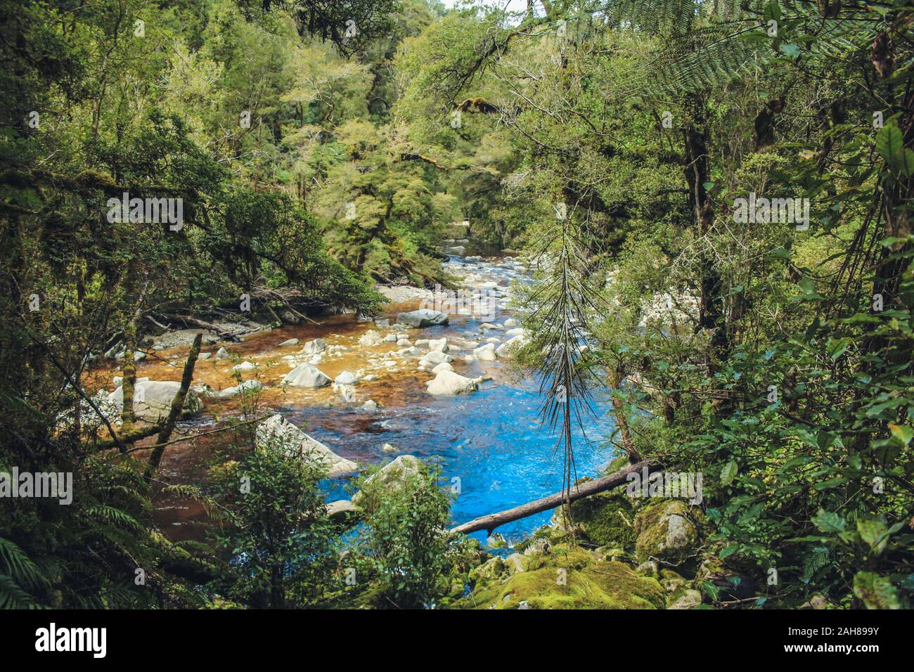 Oparara fiume scorre attraverso la foresta pluviale idilliaco al bacino Oparara arch, Isola del Sud, Nuova Zelanda Foto Stock