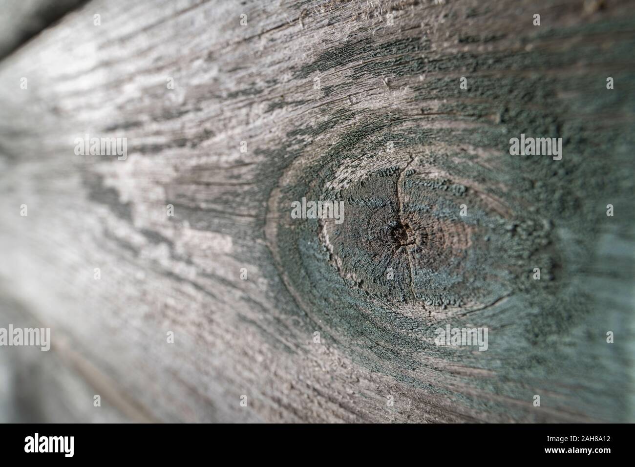 Ultra wide macro close-up del nodo di legno in un listello di legno stagionato. Abstract texture di legno. Foto Stock