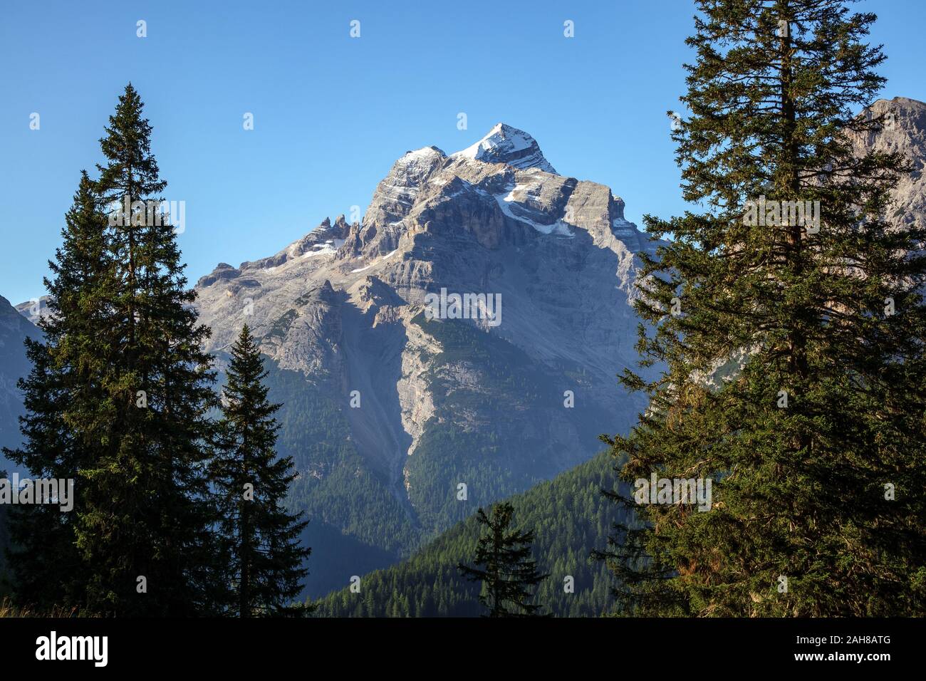 Vista sulle cime del Tofane. Alberi di conifere. Le Dolomiti di Ampezzo. Dolomiti Bellunesi. Alpi Italiane. Foto Stock