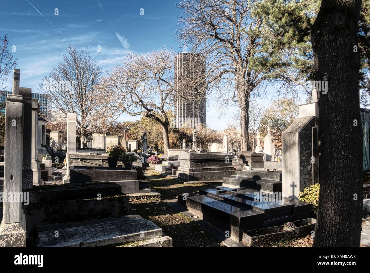 Cimitero di Montparnasse di Parigi Foto Stock