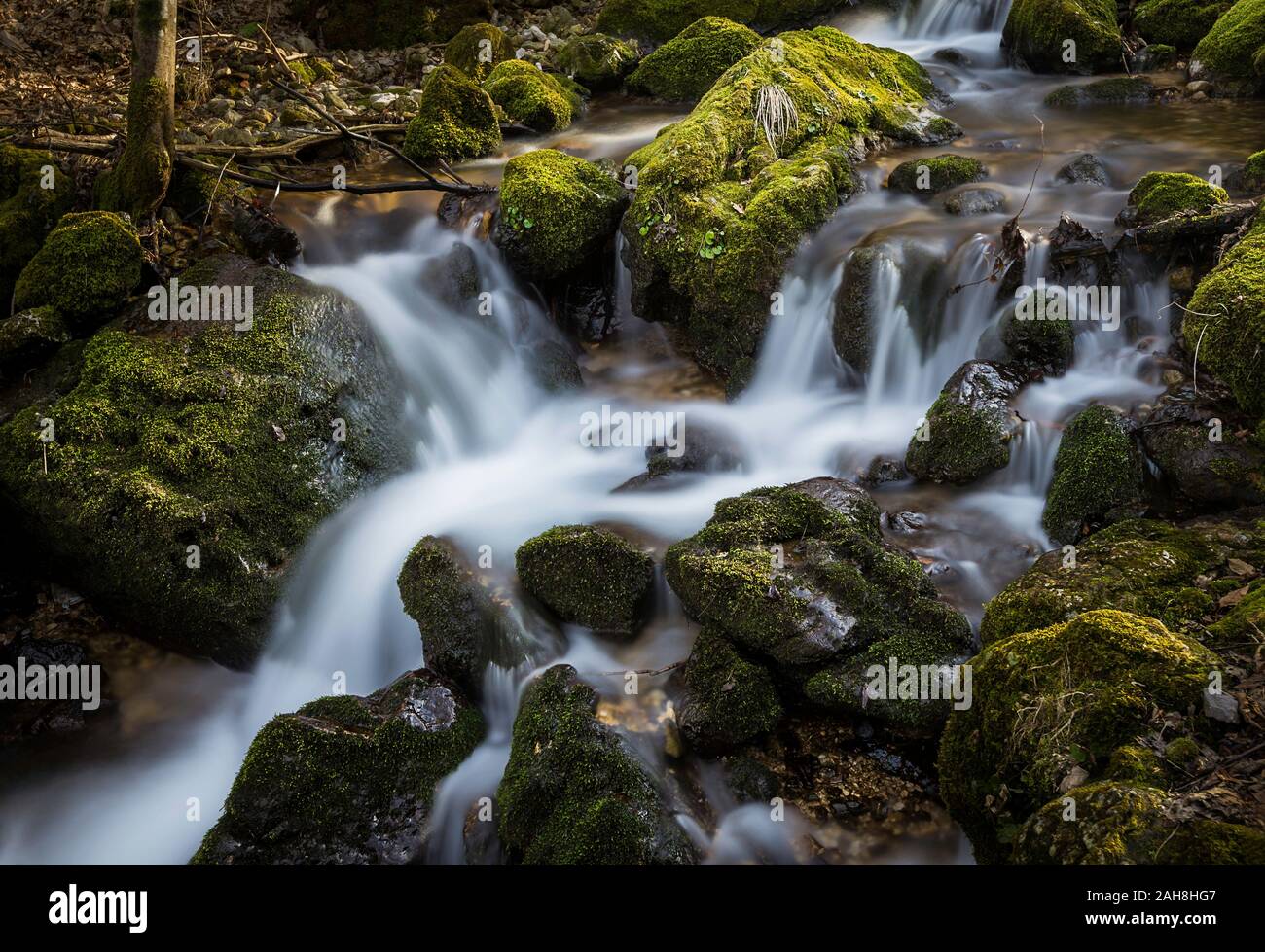 Ampio angolo di vista di un paesaggio di montagna con un torrente che scorre attraverso un certo numero di rapide tra rocce ricoperte di muschio Foto Stock Ampio angolo di vista di un paesaggio di montagna con un torrente che scorre attraverso un certo numero di rapide tra rocce ricoperte di muschio Foto Stock