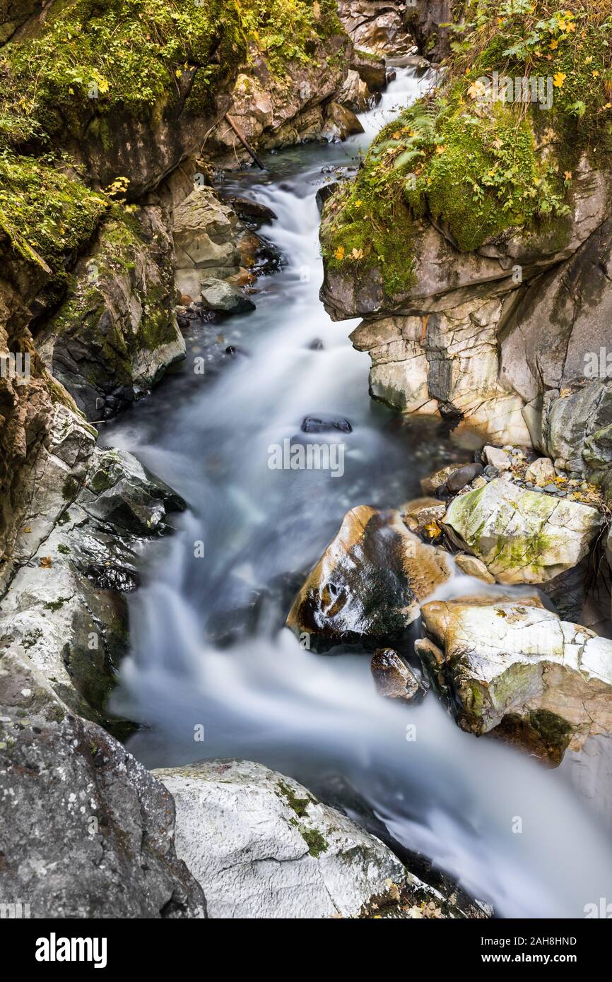 Ritratto ampio angolo di vista delle acque fluenti di un torrente di montagna, serpente tra rocce ricoperte di muschio Foto Stock