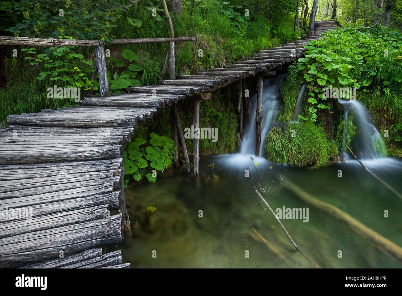 Ampia vista di una passerella in legno che si snocciola su uno stagno e in un bosco, vicino a due piccole cascate Foto Stock
