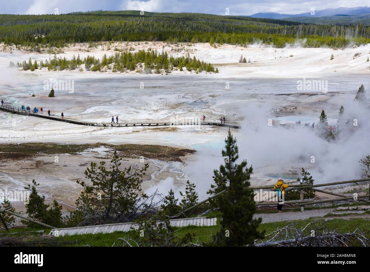 Norris Geyser Basin, il Parco Nazionale di Yellowstone, Wyoming negli Stati Uniti Foto Stock