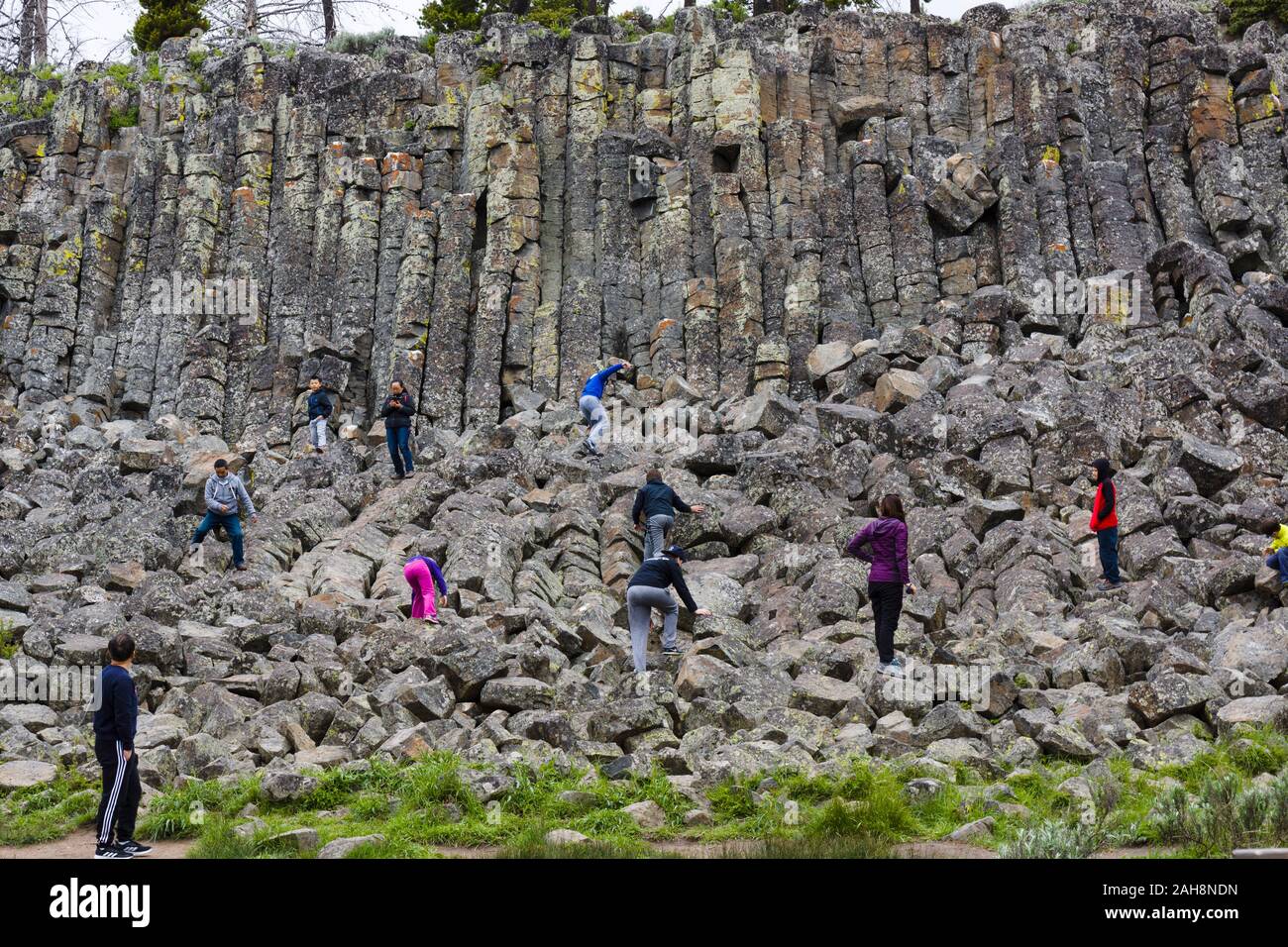 Sheepeater Cliff, il Parco Nazionale di Yellowstone, Wyoming negli Stati Uniti Foto Stock