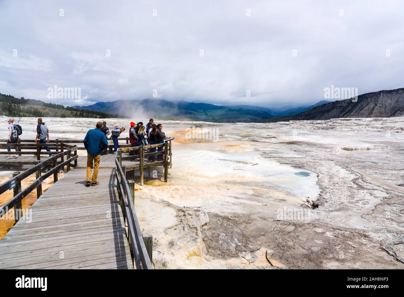 Mammoth terrazzi superiori, il Parco Nazionale di Yellowstone, Wyoming negli Stati Uniti Foto Stock