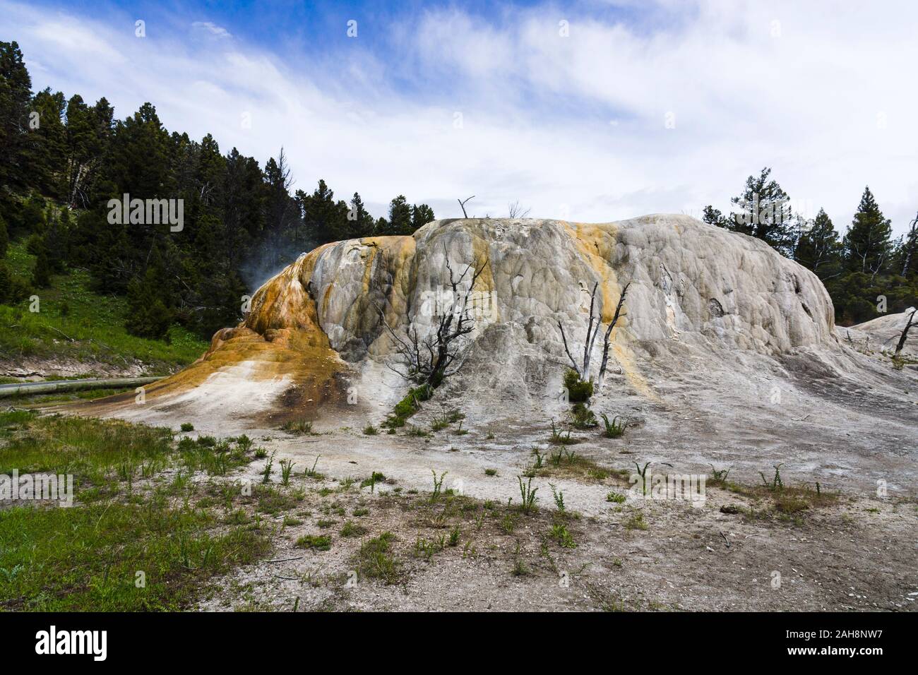 Molla di Orange Mound, Mammoth Hot Springs, il Parco Nazionale di Yellowstone, Wyoming negli Stati Uniti Foto Stock