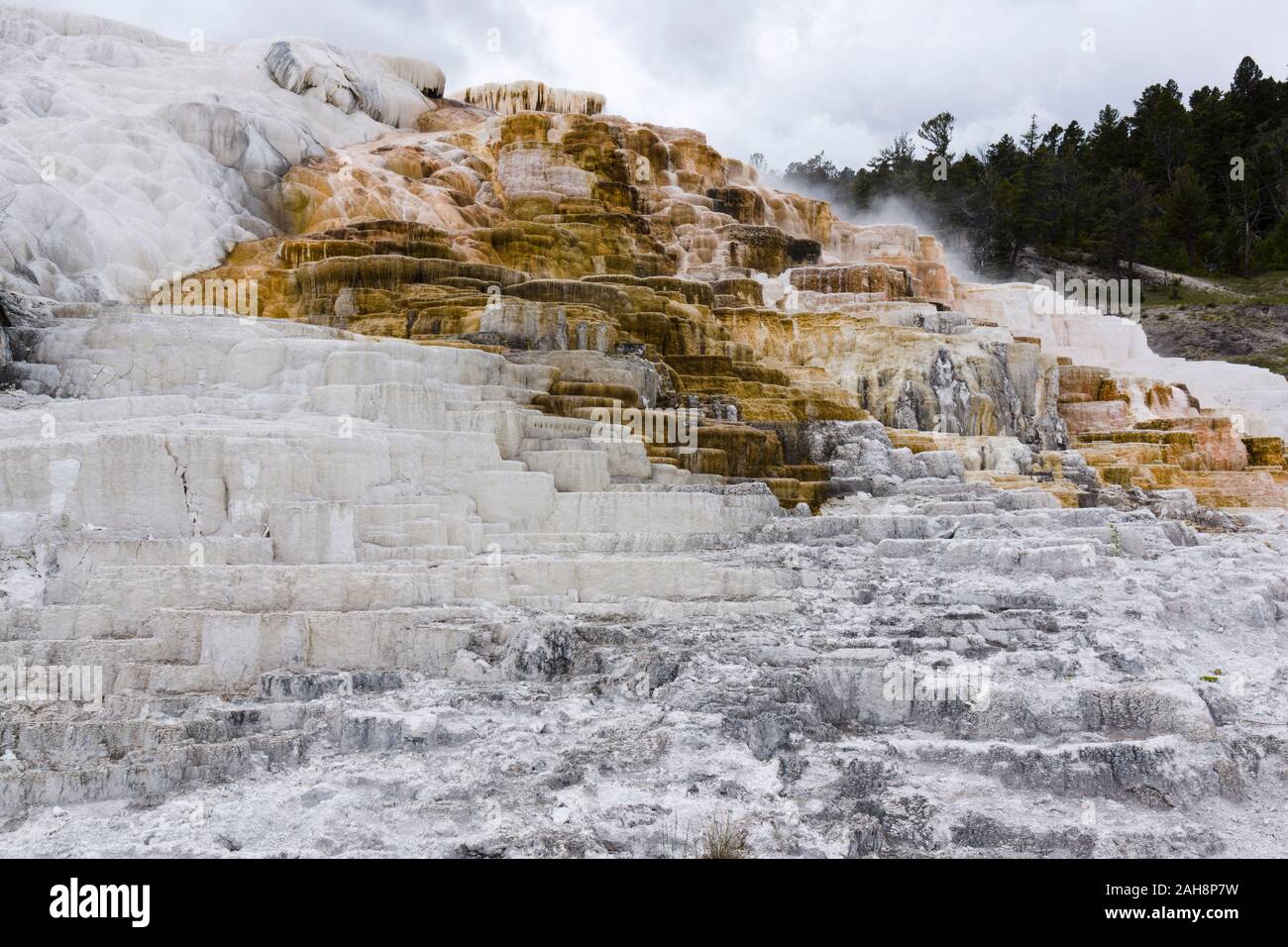 Mammoth terrazze inferiore, il Parco Nazionale di Yellowstone, Wyoming negli Stati Uniti Foto Stock