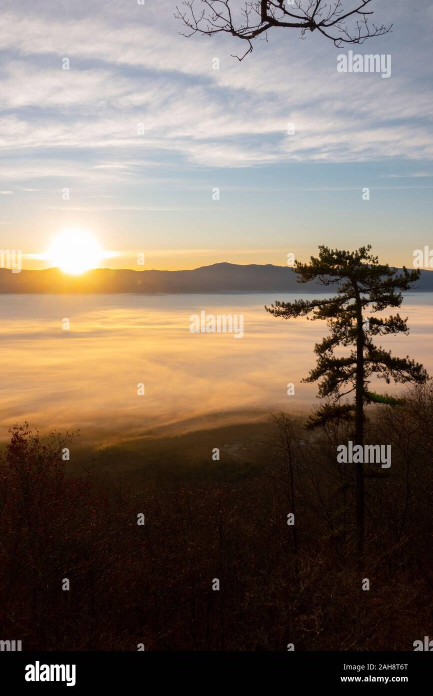 Stati Uniti Virginia VA Luray Fiume Shenandoah Valley terra della nebbia copre la valle della contea di pagina sunrise Foto Stock